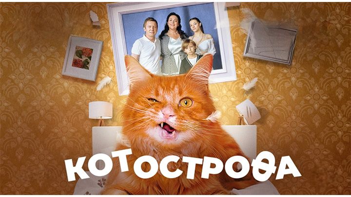 Котострофа