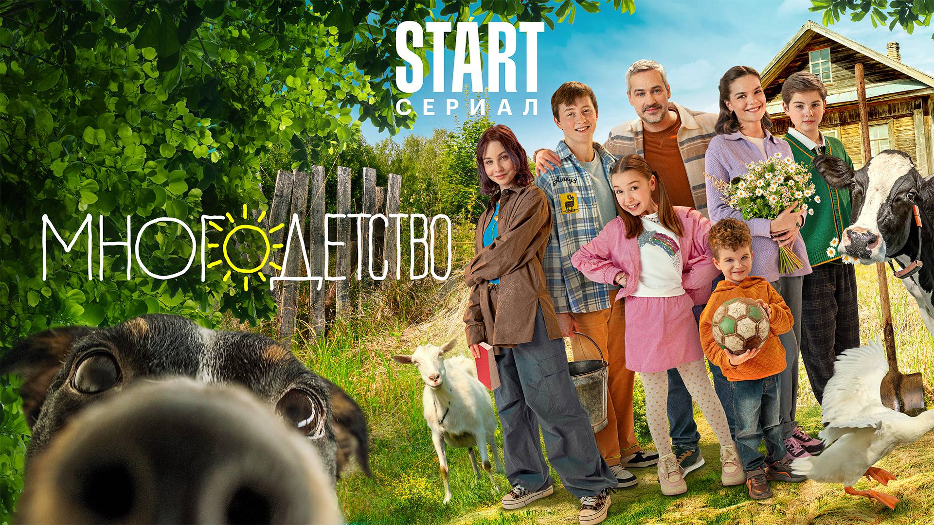 Многодетство