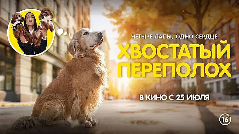 Хвостатый переполох
