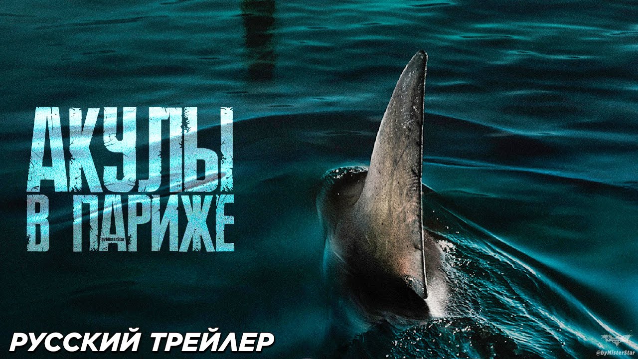 Акулы в Париже